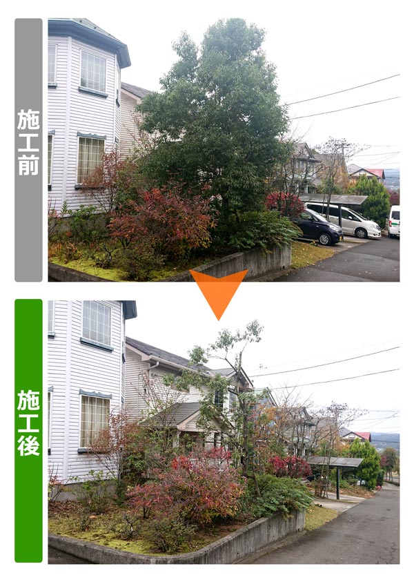 便利屋サンキュー仙台本店の業務報告（2018年11月5日）宮城県仙台市泉区のお客様宅で高い木の丈つめと剪定作業を行いました。