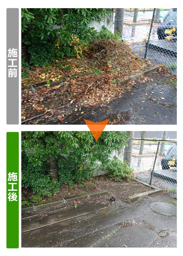 仙台市宮城野区の法人様からのご依頼で落ち葉掃除作業紹介写真