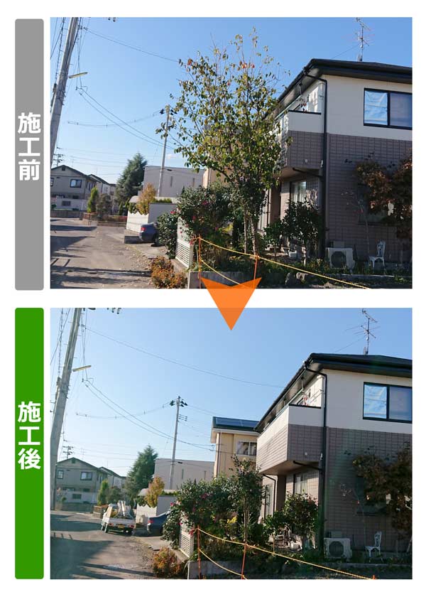 便利屋サンキュー仙台本店の業務報告（2018年11月26日）。宮城県仙台市太白区のお客様宅で伐採作業を行いました。