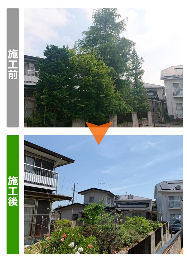 便利屋サンキュー仙台本店の業務報告（2019年6月4日）仙台市泉区のお客様からのご依頼で、お庭の大木伐採作業を行いました。