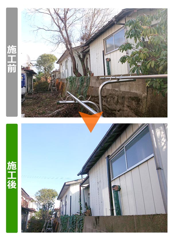 便利屋サンキュー仙台本店の業務報告（2019年12月12日）仙台市で樹木の伐採を行いました。