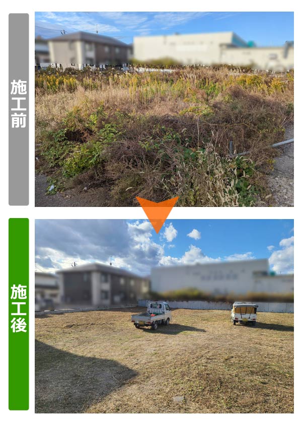 便利屋サンキュー仙台本店の業務報告（2020年11月217日）仙台市若林区の空き地面積約1,000坪の草刈り作業してきました。