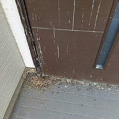仙台市内のツバメの巣の糞害、糞汚れをお掃除いたします。
