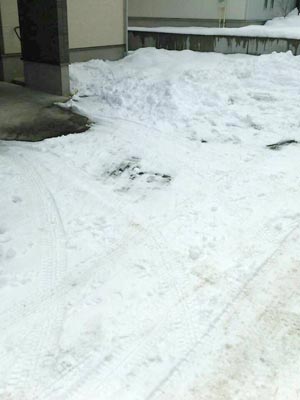 宮城県富谷市個人様宅の雪かき代行の施工前写真