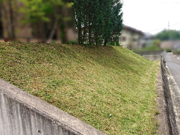 宮城県仙台市内で斜面、法面の草刈りなら便利屋サンキュー仙台本店にお任せ下さい