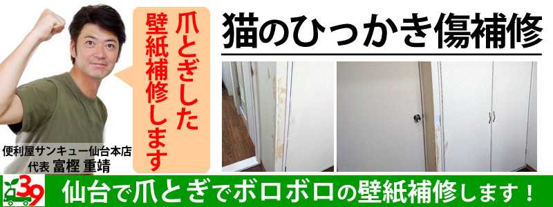 仙台で猫の壁ひっかき傷補修は便利屋サンキュー仙台本店｜見積無料