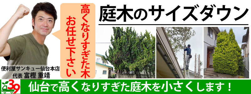 【庭木を小さくしたい】仙台で庭木のサイズダウン・丈詰め承ります