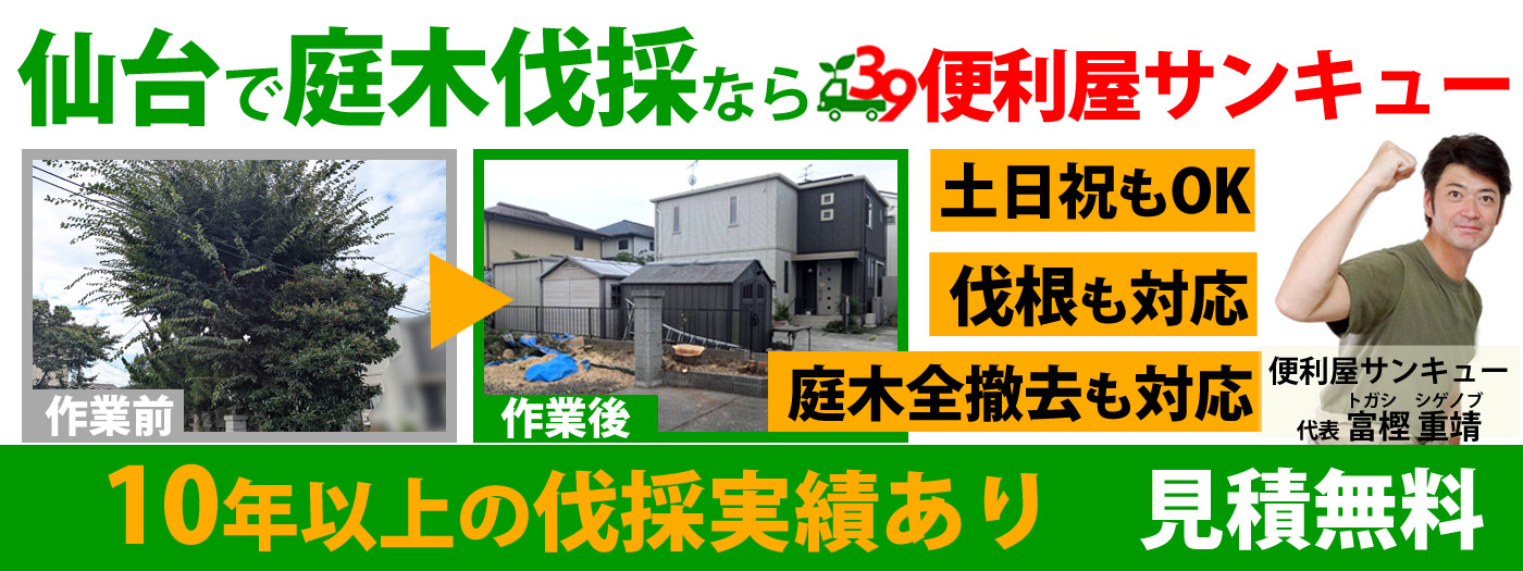 仙台の庭木の伐採サービス｜伐採・伐根から整地まで一括対応！