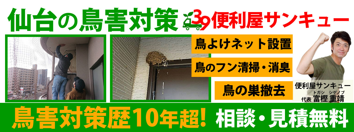 仙台全域対応！鳥害対策は便利屋サンキュー【見積無料】