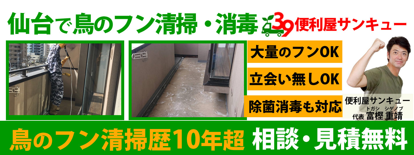 仙台の鳥のフン清掃・消毒は便利屋サンキュー！見積無料