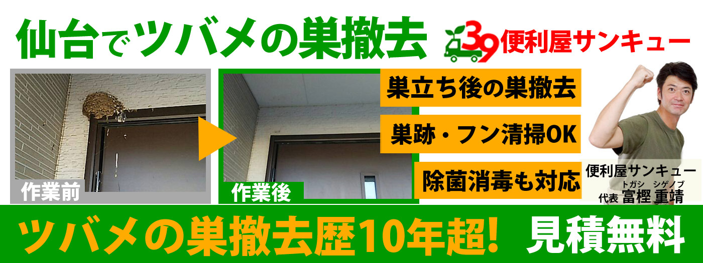 仙台のツバメの巣撤去は便利屋サンキュー！見積もり無料