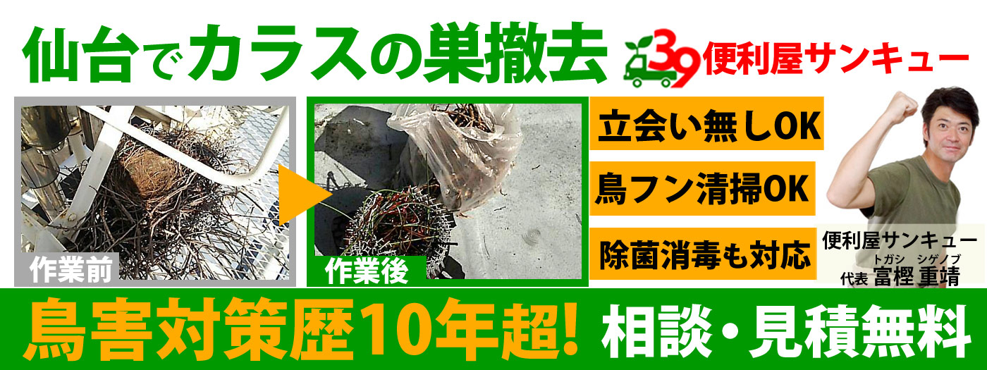 仙台のカラスの巣撤去は便利屋サンキュー！見積無料