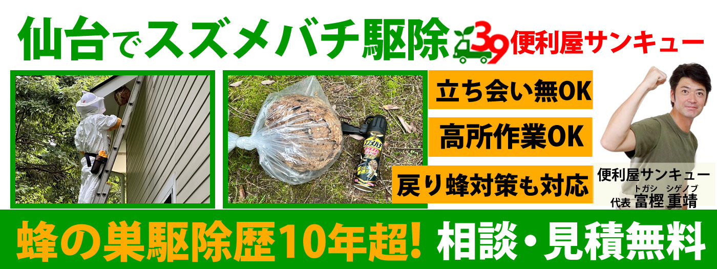 【仙台全域】スズメバチ駆除は便利屋サンキュー仙台本店｜見積無料