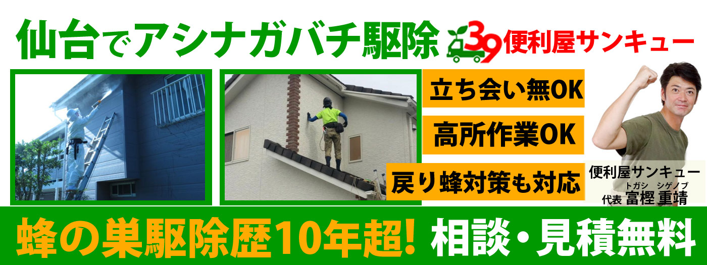 仙台全域対応！アシナガバチ駆除は便利屋サンキュー｜見積無料