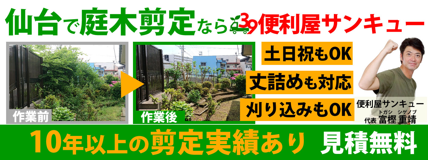 仙台の庭木剪定サービス｜刈り込み・枝切り・丈詰めも安心依頼