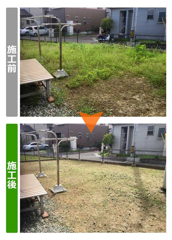 便利屋サンキュー仙台本店の業務報告（2018年9月18日）宮城県仙台市太白区のお客様宅で草刈り作業を行いました。