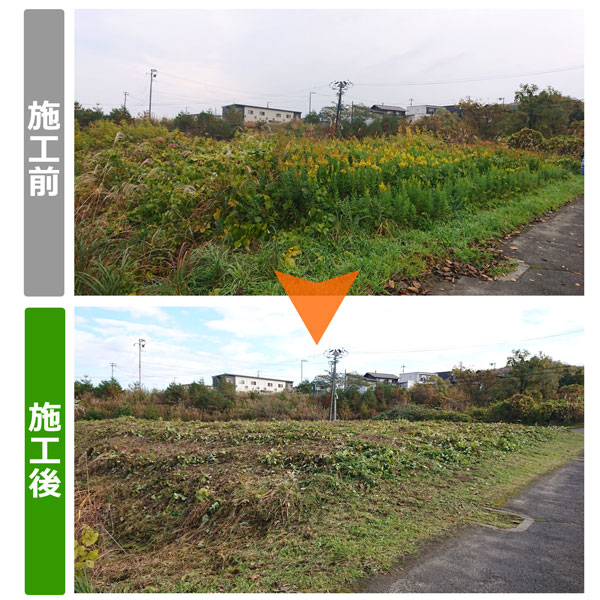 便利屋サンキュー仙台本店の業務報告（2018年11月12日）法人様からご依頼を頂き宮城県仙台市泉区で空き地の草刈り作業を行いました。