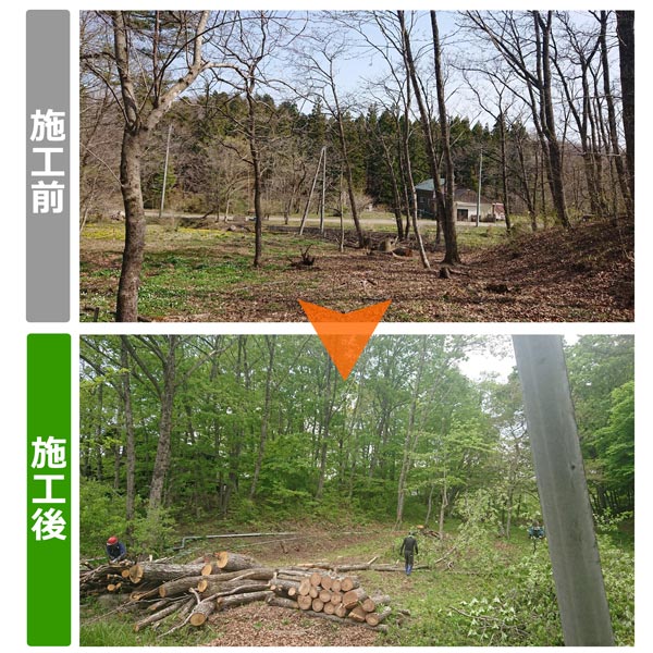 便利屋サンキュー仙台本店の業務報告（2019年5月23日）仙台市泉区のお客様様からのご依頼で、別荘地の栗の木9本伐採作業を行いました。