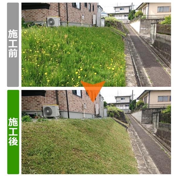 仙台市泉区のお客様宅のお庭と法面（斜面）の草刈り作業紹介写真