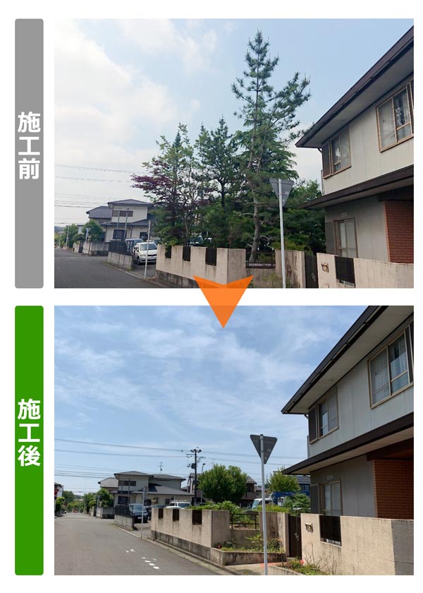便利屋サンキュー仙台本店の業務報告（2019年6月4日）仙台市泉区のお客様からのご依頼で、お庭の大木伐採作業を行いました。