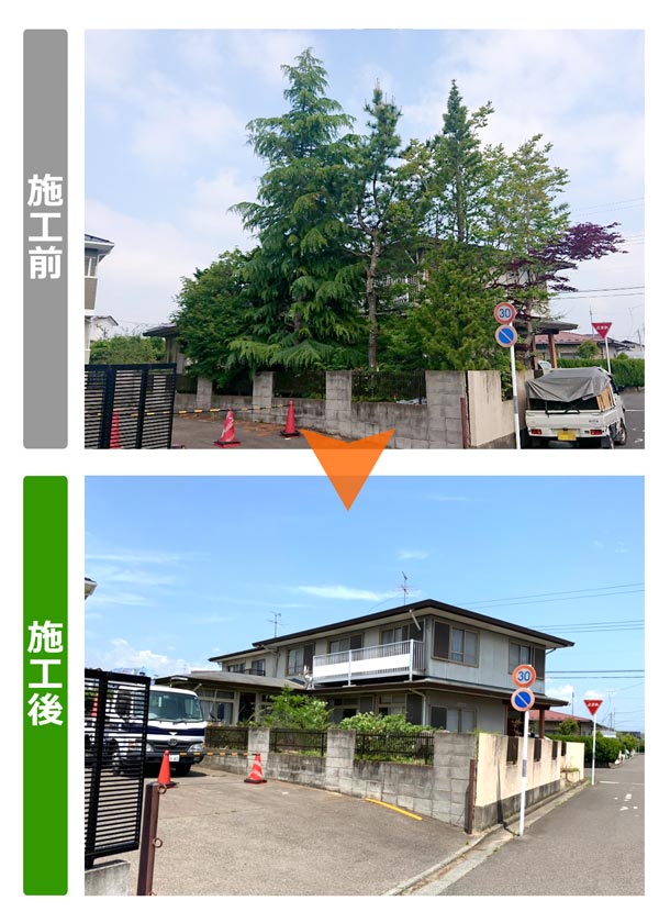 仙台市泉区の約15mの大木など庭木9本を伐採作業紹介写真