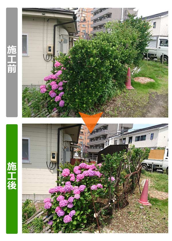 便利屋サンキュー仙台本店の業務報告（2019年7月2日）仙台市青葉区のお客様からのご依頼で、お客様宅の剪定、草刈り作業を行いました。