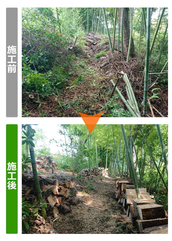 便利屋サンキュー仙台本店の業務報告（2019年7月26日）仙台市青葉区で他業者が伐採した桜の木や赤松などの伐採木、枝の撤去作業を行いました。