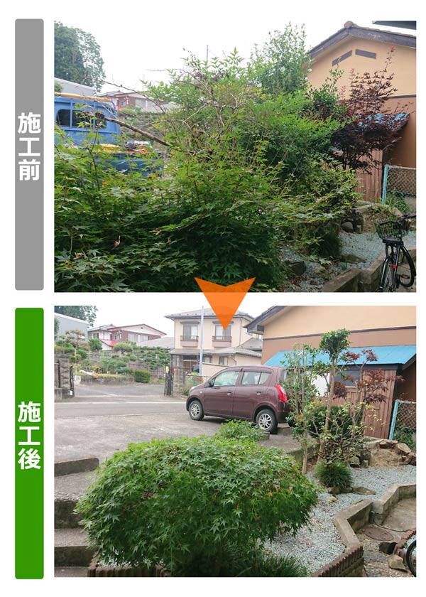 便利屋サンキュー仙台本店の業務報告（2019年8月8日）仙台市宮城野区で庭木の剪定作業を行いました。