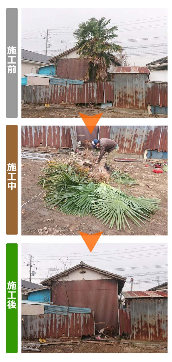 便利屋サンキュー仙台本店の業務報告（2019年12月17日）仙台市若林区でシュロの木の伐採を行いました。