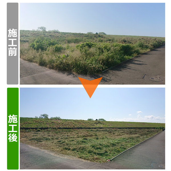 便利屋サンキュー仙台本店の業務報告（2020年10月2日）940平米（約285坪）の草刈り作業してきました。