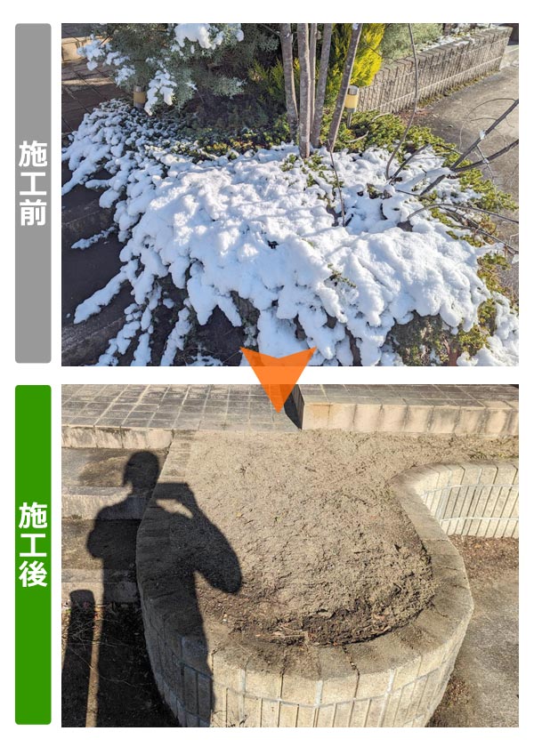 便利屋サンキュー仙台本店の業務報告（2023年12月18日）仙台市泉区の戸建て住宅で庭木の伐採、伐根を行いました。
