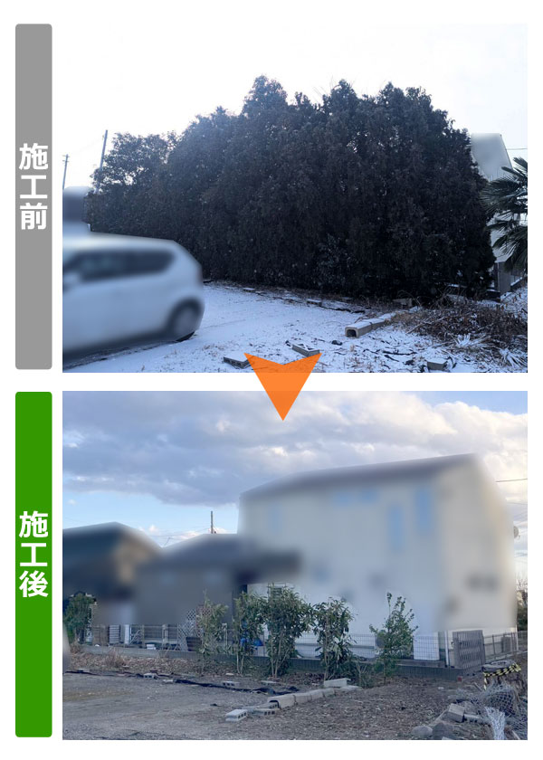 仙台市若林区で樹木撤去・敷地内片付け(2026年2月)