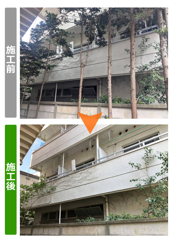 ビル裏の樹木伐採・越境枝の解消（2026年4月）ビフォアアフター写真