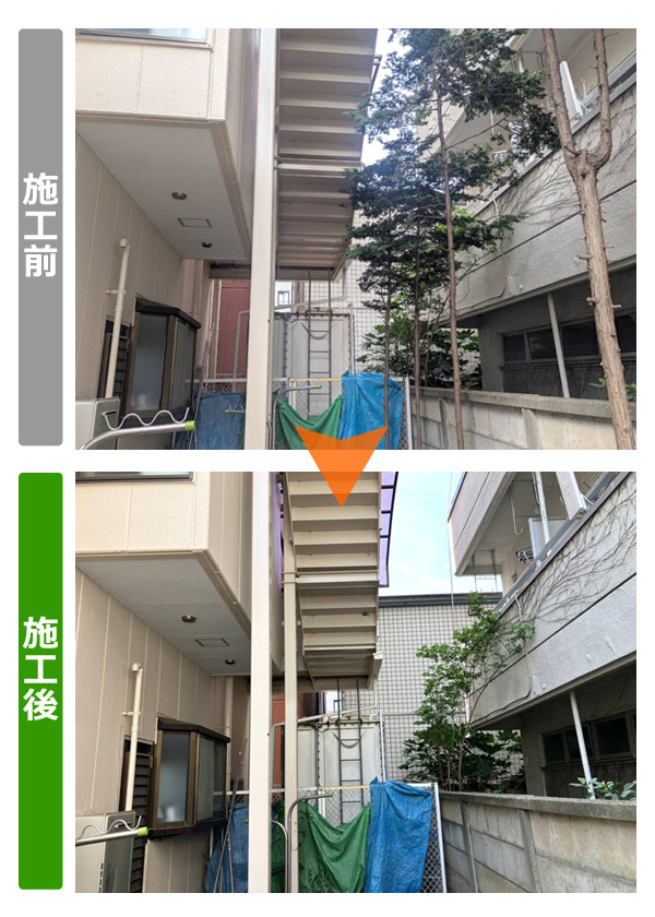 仙台市青葉区 樹木伐採・越境枝処理 施工前後写真