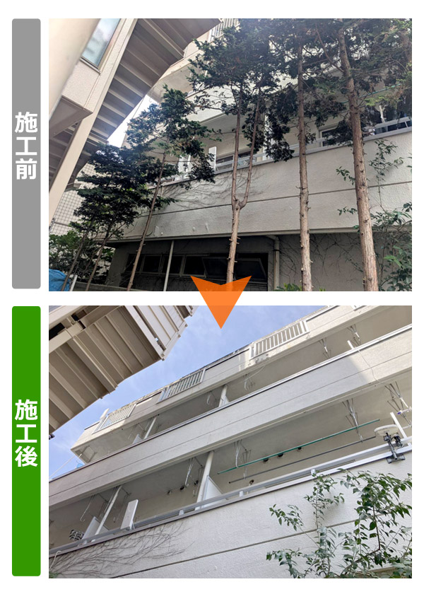 仙台市青葉区 ビル裏の樹木伐採・越境枝の解消 ビフォアアフター写真（2026年4月）