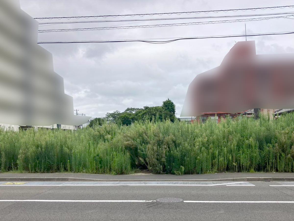 作業前：雑草が伸びた約400坪の空き地