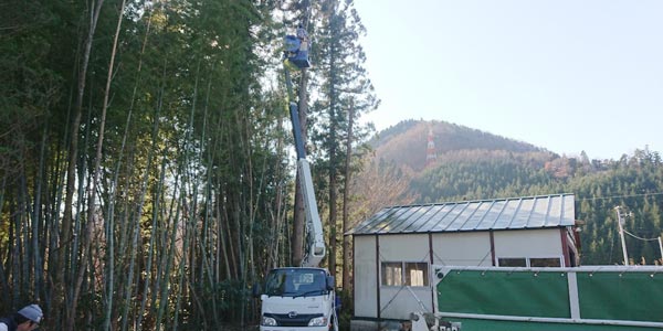 便利屋仙台サンキューの高所作業車を使った伐採現場の作業風景
