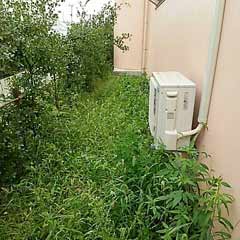 便利屋サンキュー仙台本店が施工した草刈り施工現場の写真