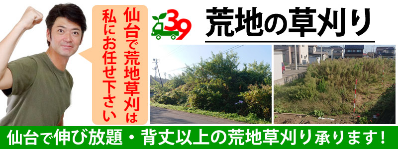 仙台で荒地草刈りの事なら便利屋サンキュー仙台本店にお任せ下さい！