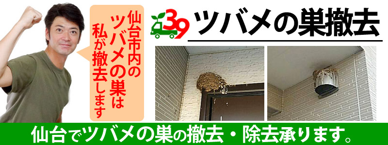 仙台市内のツバメの巣撤去・除去は便利屋サンキュー仙台本店にお任せください
