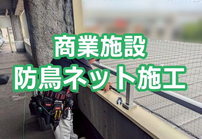商業施設の防鳥ネット施工