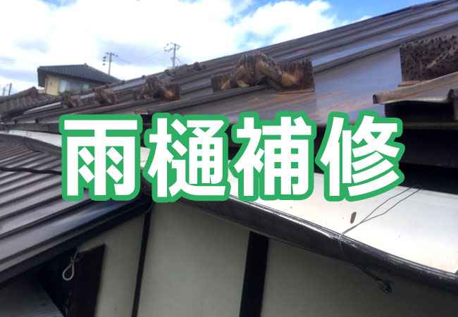 雨樋修理